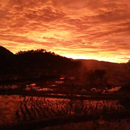 De Salak Homestay Bogor Eksteriør billede