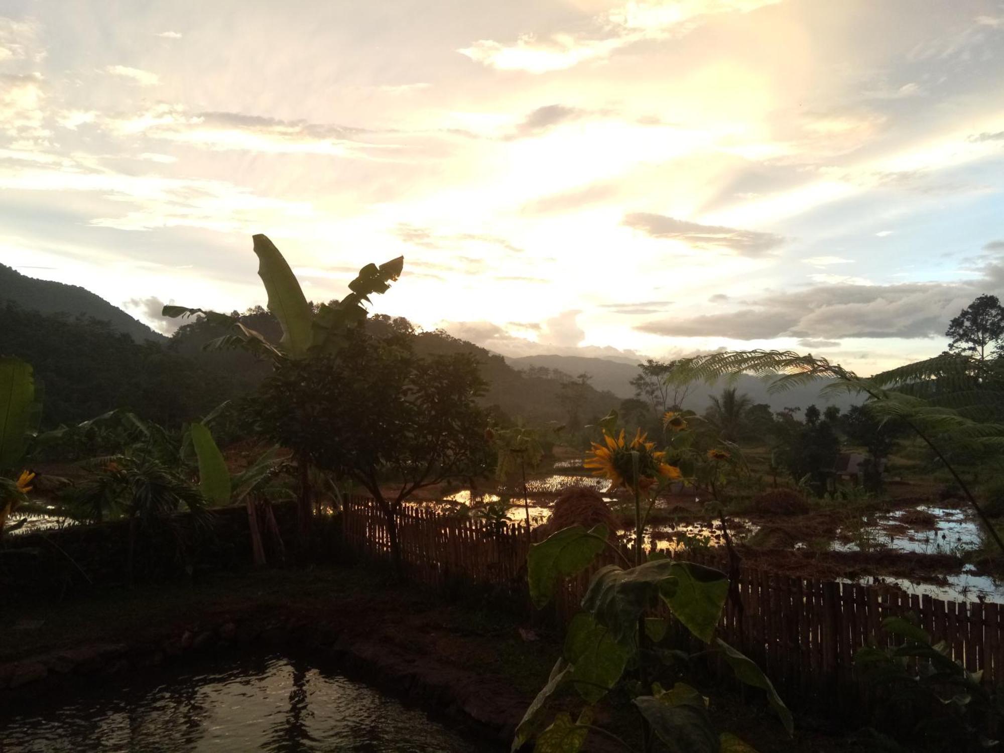 De Salak Homestay Bogor Eksteriør billede