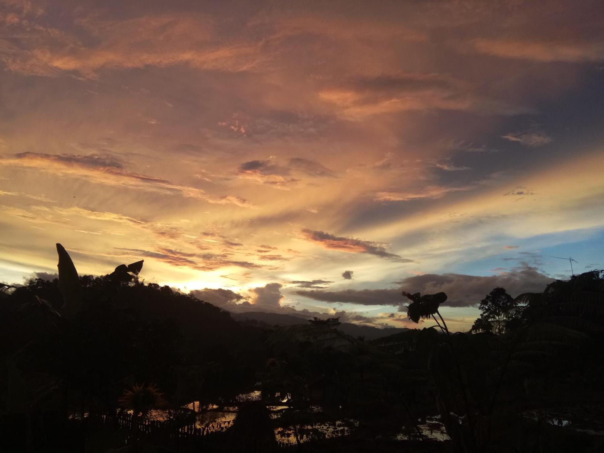 De Salak Homestay Bogor Eksteriør billede