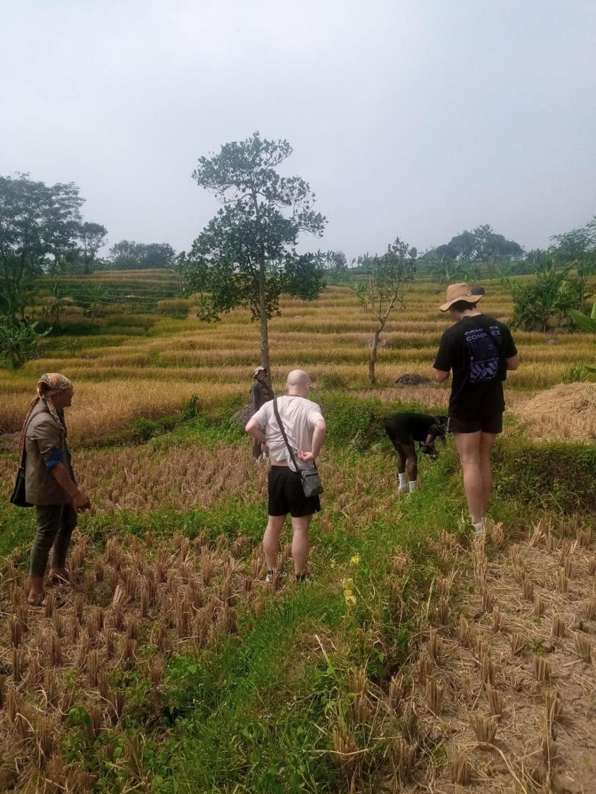 De Salak Homestay Bogor Eksteriør billede