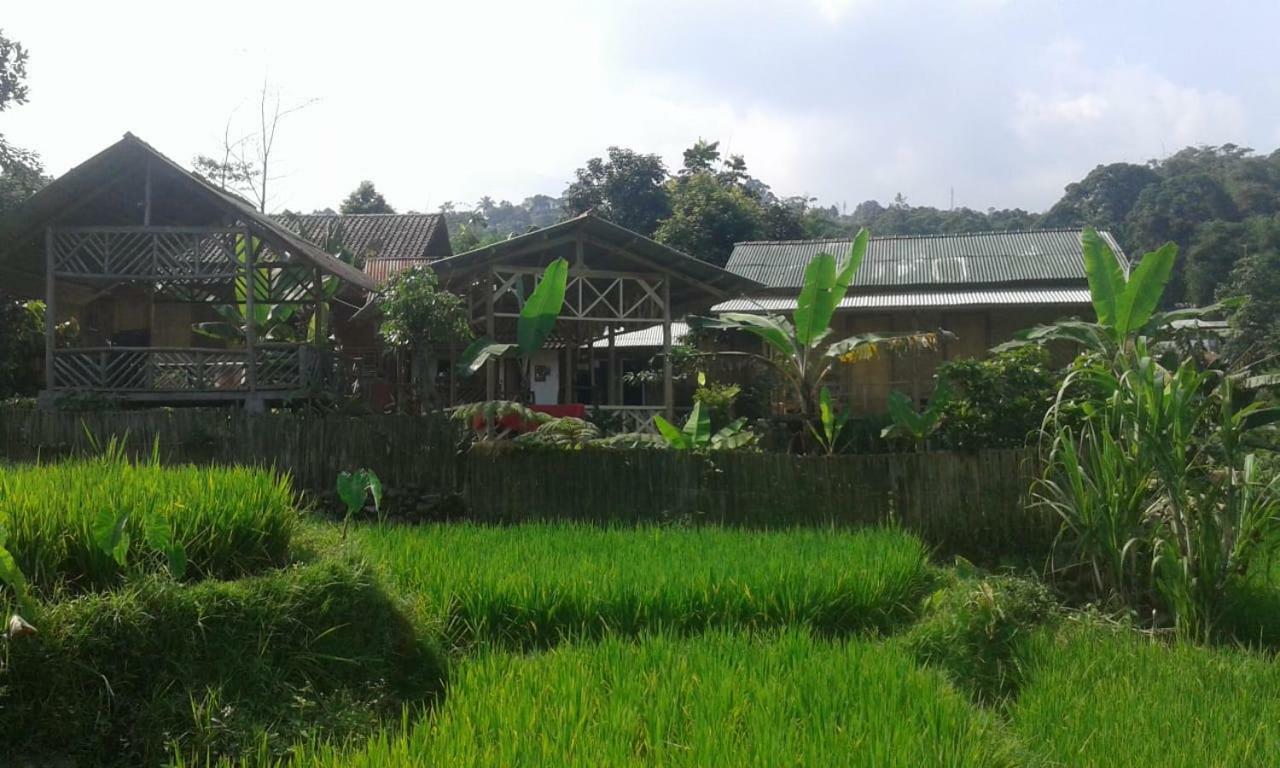 De Salak Homestay Bogor Eksteriør billede