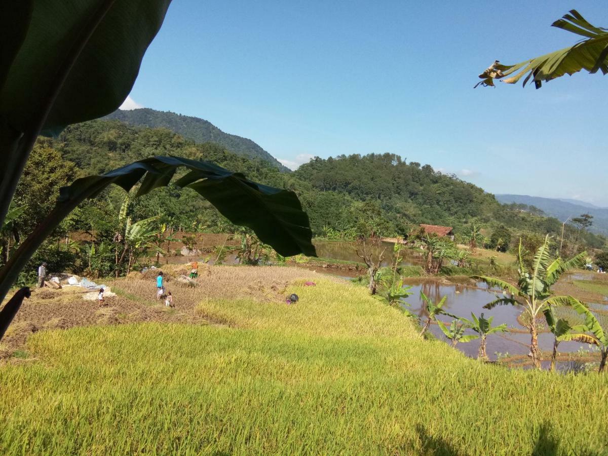De Salak Homestay Bogor Eksteriør billede