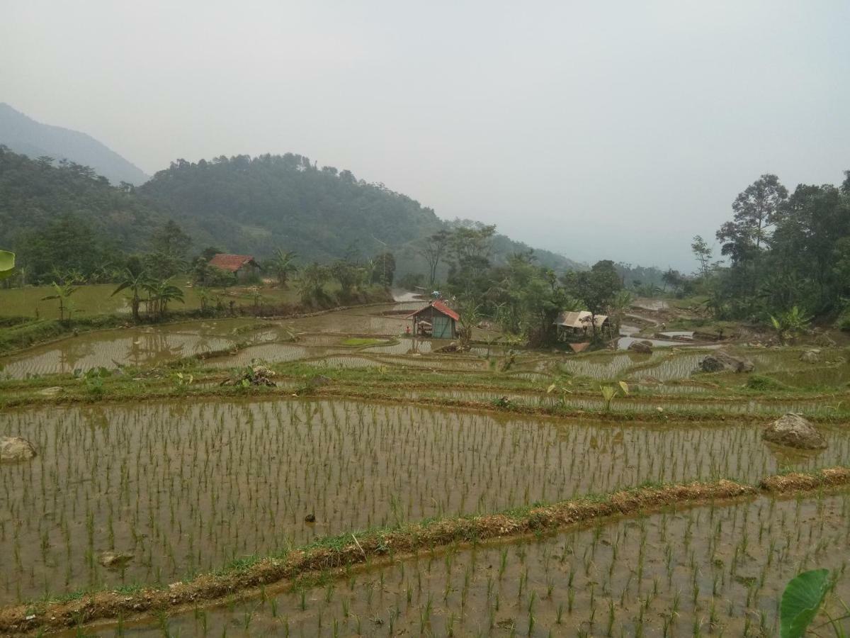 De Salak Homestay Bogor Eksteriør billede